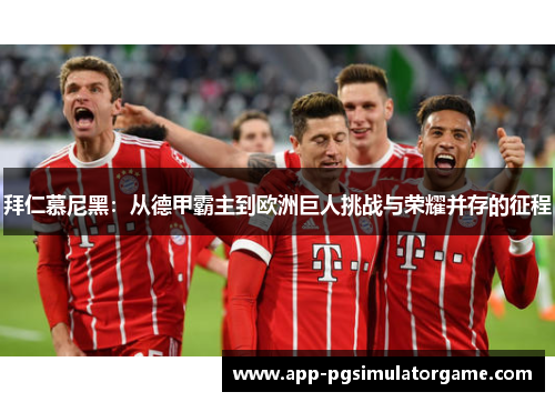 拜仁慕尼黑：从德甲霸主到欧洲巨人挑战与荣耀并存的征程