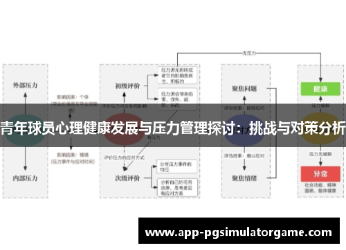 青年球员心理健康发展与压力管理探讨：挑战与对策分析