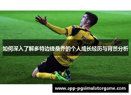 如何深入了解多特边锋桑乔的个人成长经历与背景分析