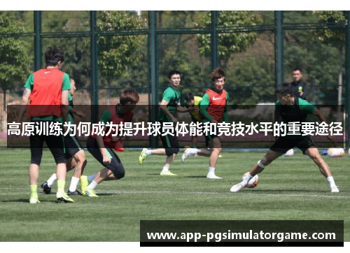 高原训练为何成为提升球员体能和竞技水平的重要途径