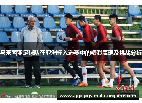 马来西亚足球队在亚洲杯入选赛中的精彩表现及挑战分析