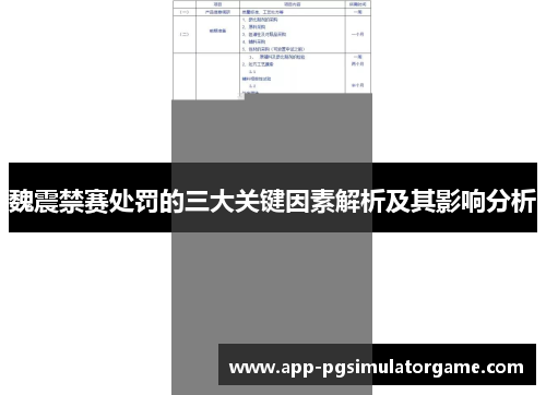 魏震禁赛处罚的三大关键因素解析及其影响分析