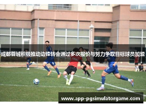 成都蓉城积极推动边锋转会通过多次报价与努力争取目标球员加盟