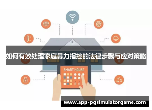 如何有效处理家庭暴力指控的法律步骤与应对策略