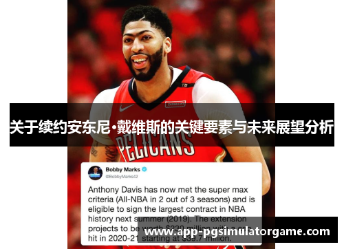 关于续约安东尼·戴维斯的关键要素与未来展望分析