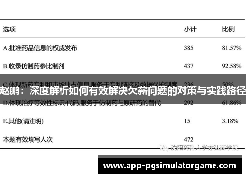 赵鹏：深度解析如何有效解决欠薪问题的对策与实践路径