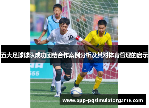 五大足球球队成功团结合作案例分析及其对体育管理的启示