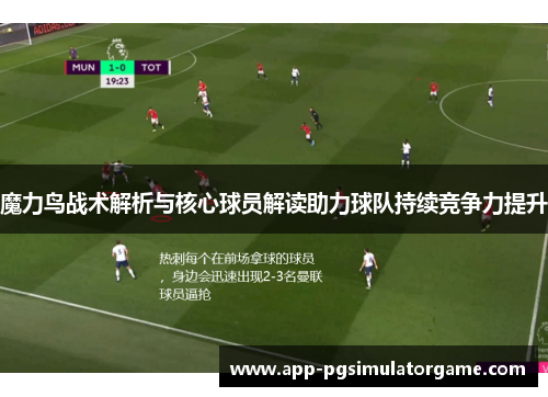魔力鸟战术解析与核心球员解读助力球队持续竞争力提升